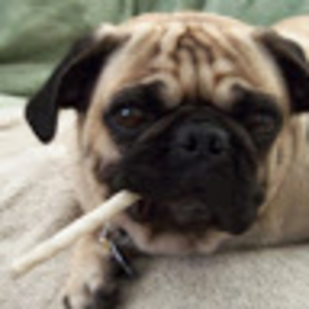 Meet your Posher, Haley